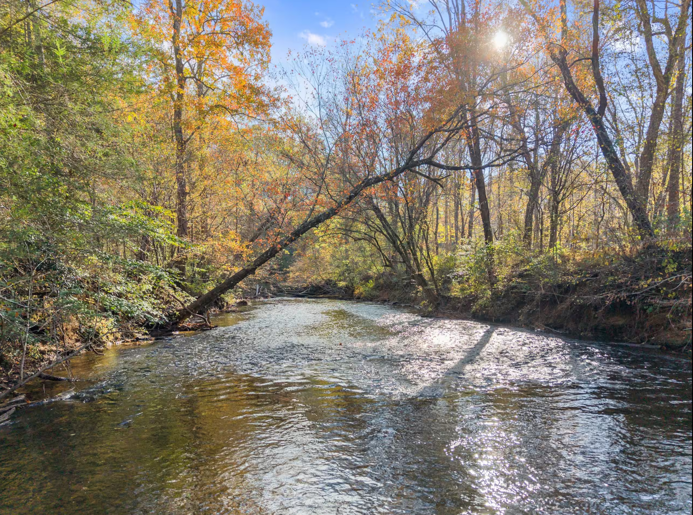 Etowah River in fall foliage