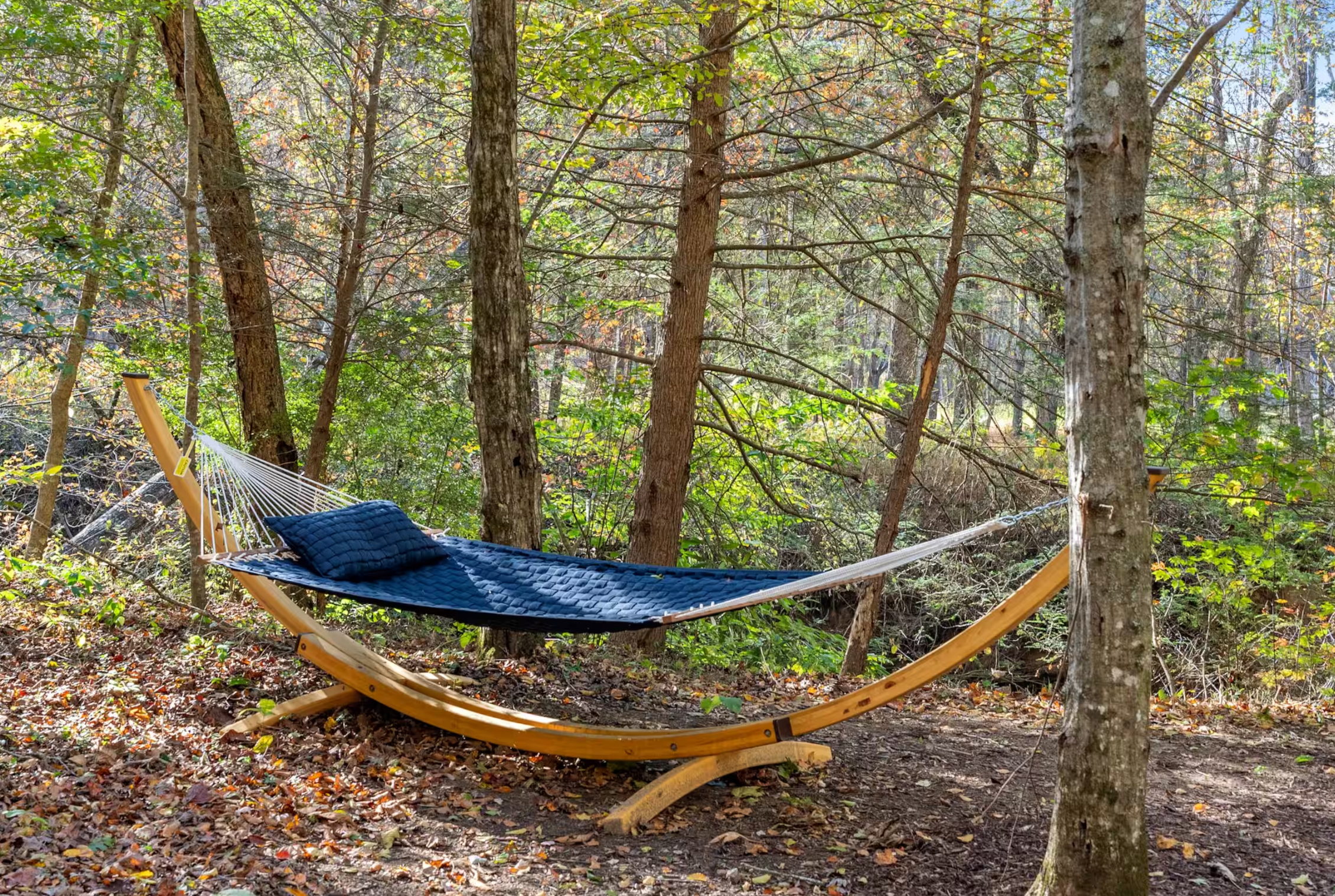 Hammock in the woods