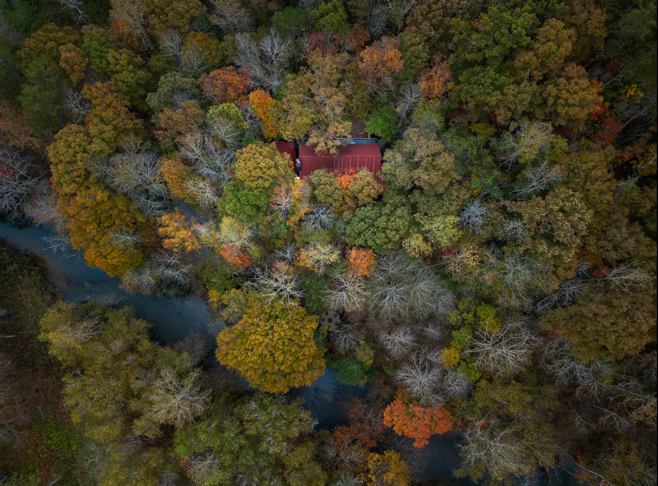 Aerial view of the cabin nestled in fall foliage along the Etowah River